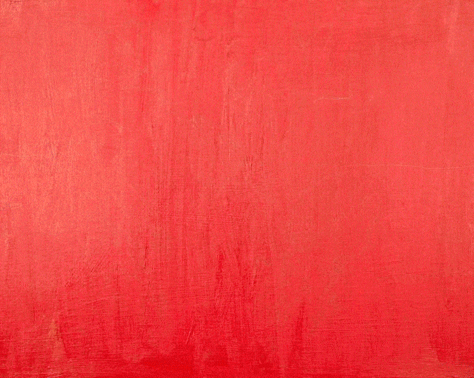 poppies red