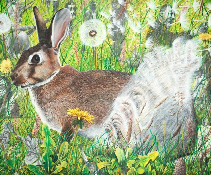 trapped rabbit painting