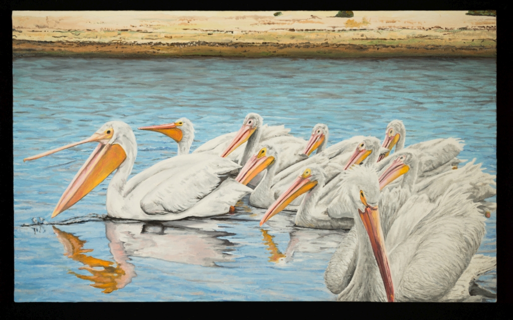 white pelicans oil painting