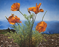 poppies red oil painting