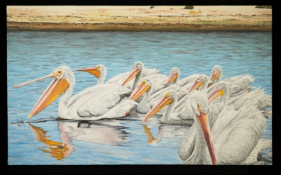 white pelicans painting